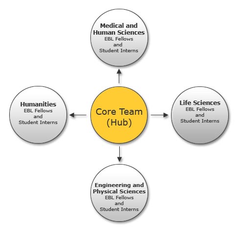 Hub and Spoke model diagram (spokes are Faculty co-ordinators and student interns)